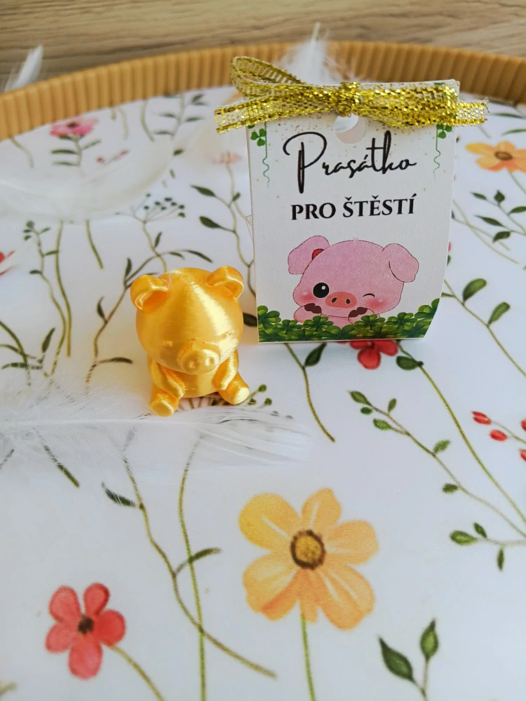 Prasátko pro štěstí - zlatý talisman